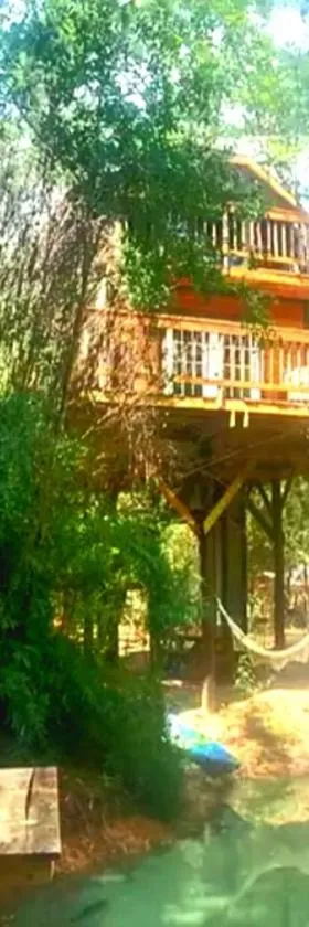 Waterfront Treehouse in a Magical Forest，位于Waller的酒店