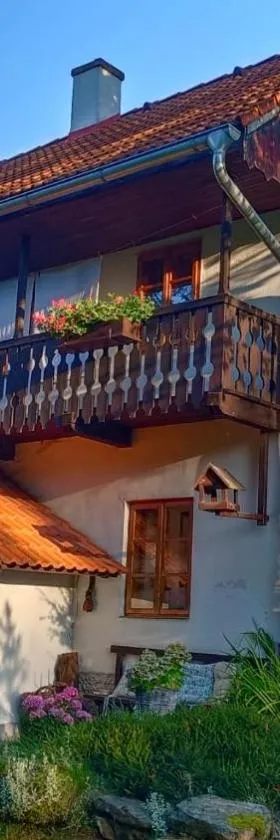 Chaloupka u Jiřího，位于诺瓦佩奇的酒店