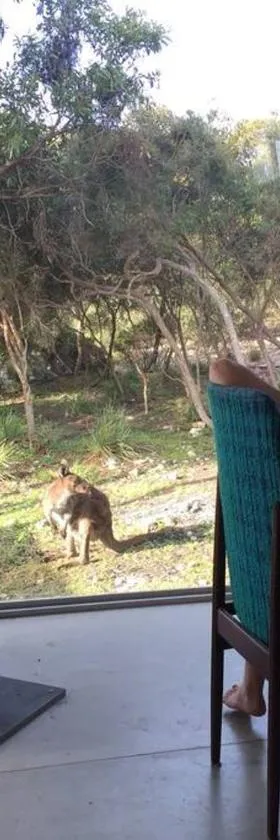 Kangaroo Island Supashak，位于Vivonne Bay的酒店
