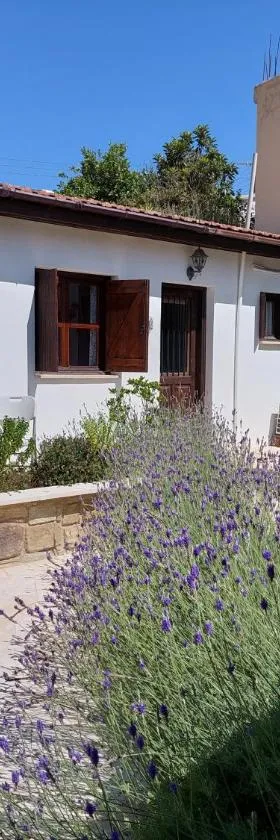 The Little House，位于Ayios Theodhoros的酒店