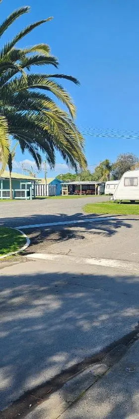 Westshore Holiday Park，位于纳皮尔的酒店