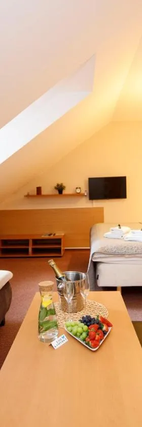 Hotel Modrásek，位于卡什佩尔斯凯霍里的酒店