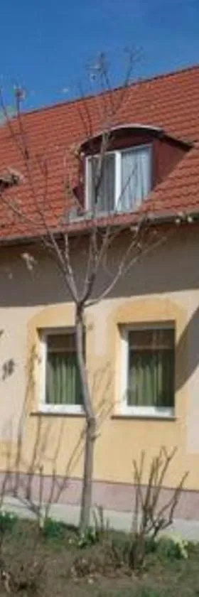 Aranykalász Panzió，位于森特什的酒店