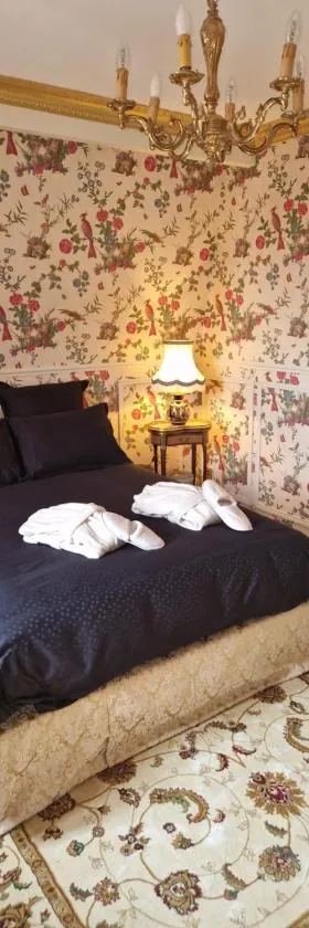 Chambre d'hôtes de charme，位于Boiscommun的酒店