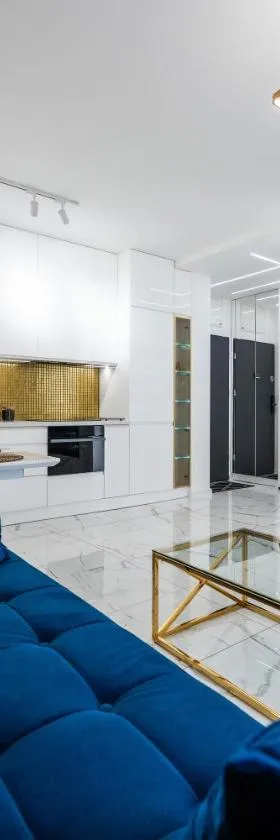 Gold Luxury Apartment，位于Janów的酒店