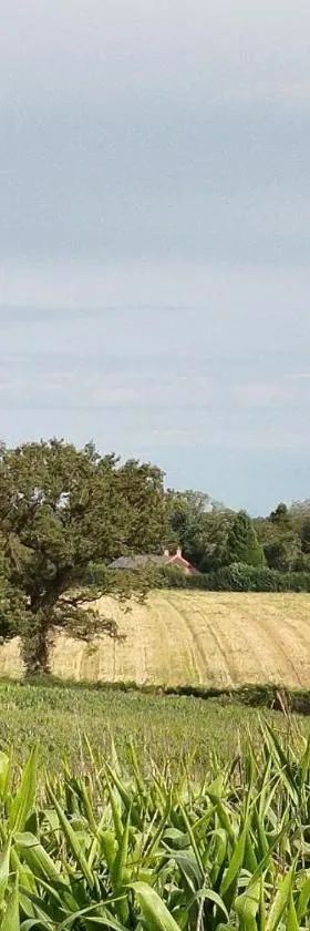 Gîte Traitsanes En Berry Centre Val de Loire，位于Préveranges的酒店