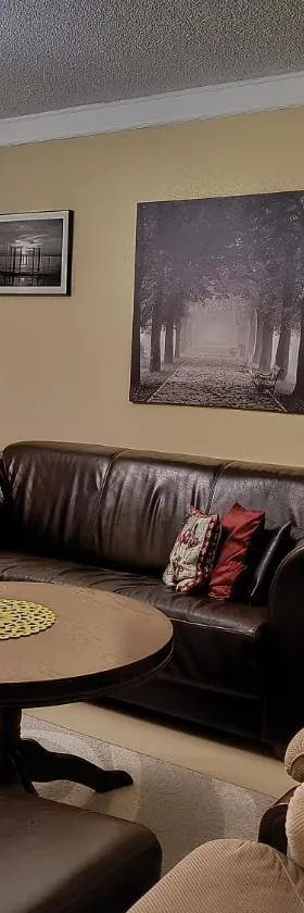 Apartment Nilsiä，位于尼尔西艾的酒店