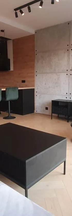 Apartament LOFT，位于普鲁什库夫的酒店