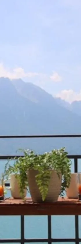 Luxury Apartment Montreux，位于Veytaux的酒店