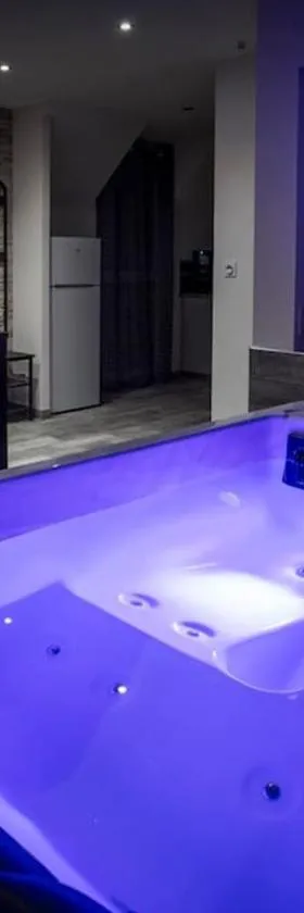 VIP 2 Loft avec spa privatif à 10 min de Dijon，位于Fauverney的酒店