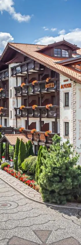 Alpejski Boutique Hotel，位于卡尔帕奇的酒店