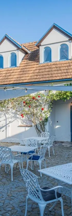 Naturální vinařství Tomáš Křížek, Penzion Dvorek，位于多尼杜纳约维采的酒店