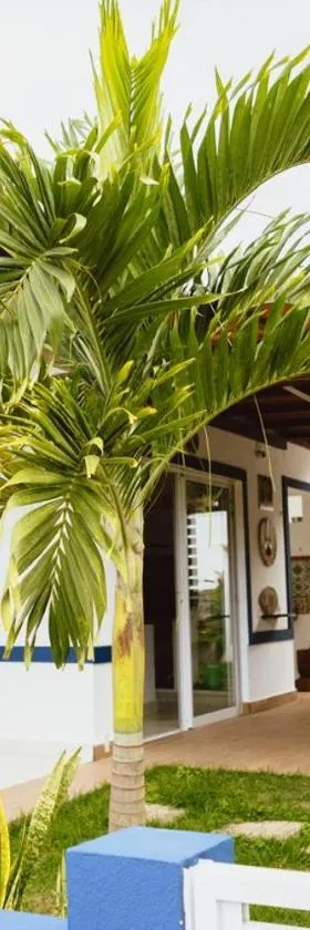 Casa Bananeiras Tunel，位于巴纳内拉斯的酒店