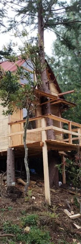 Cabaña sesquile del arbol，位于Sesquilé的酒店