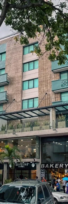 Hotel Sebas 202，位于加拉加斯的酒店