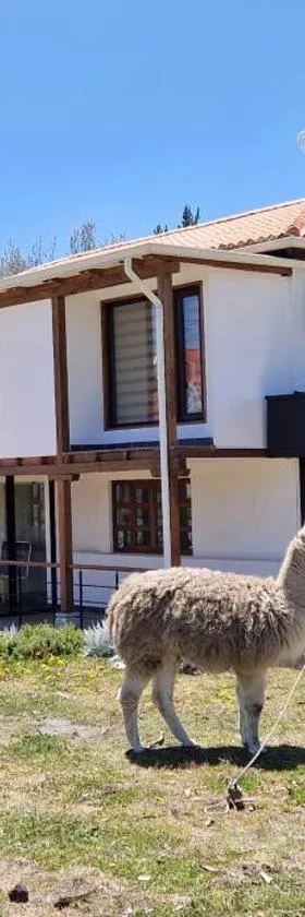 La Maison d'Urbina，位于Chimborazo的酒店