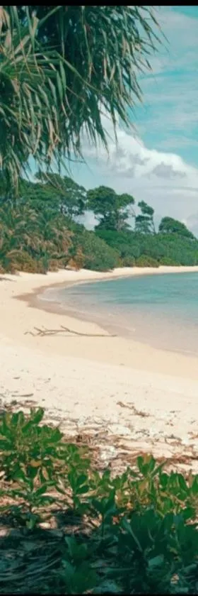 MALLICK PALACE Neil Island South Andaman，位于尼尔岛的酒店