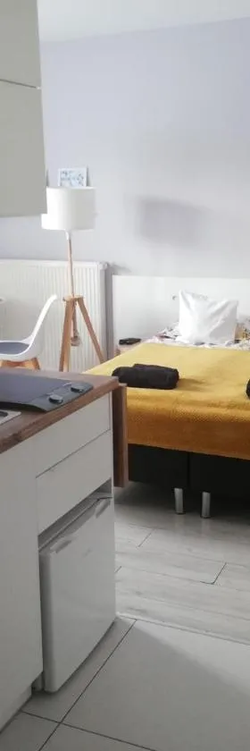 SKALNY apartamenty, pokoje，位于奥格罗杰涅茨的酒店