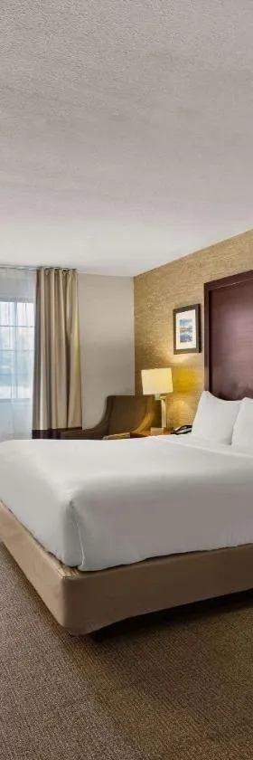 Comfort Inn Ludington near US-10，位于拉丁顿的酒店