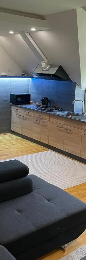 Green Garden Apartments，位于考纳斯的酒店