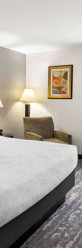 Best Western Saluki Inn，位于卡本代尔的酒店