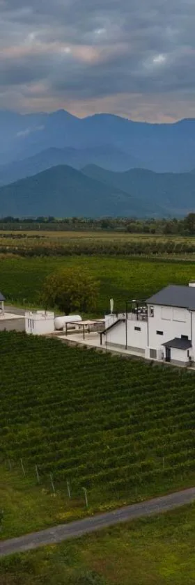 Eclipse Winery Boutique Hotel，位于克瓦雷利的酒店