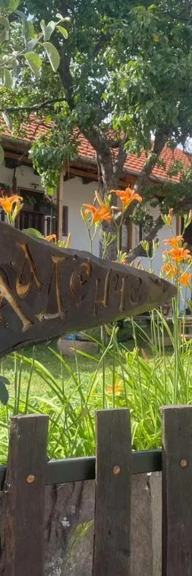 Kladenče，位于皮罗特的酒店