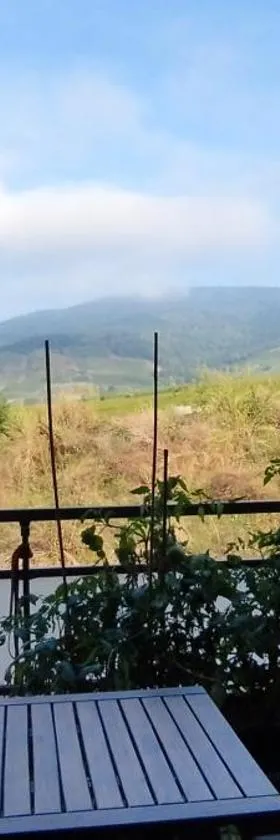 Au cœur du vignoble，位于凯泽贝尔的酒店