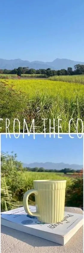 The Bougainvillea cottage farmstay near Dehradun , 2 bedroom private cottage next to fields and orchards with hill views，位于德拉敦的酒店