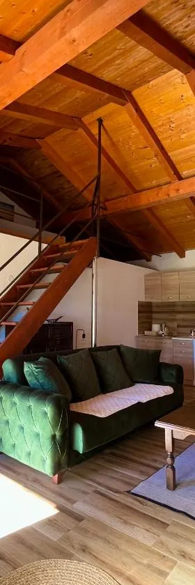 Apartman Boljević，位于波德戈里察的酒店