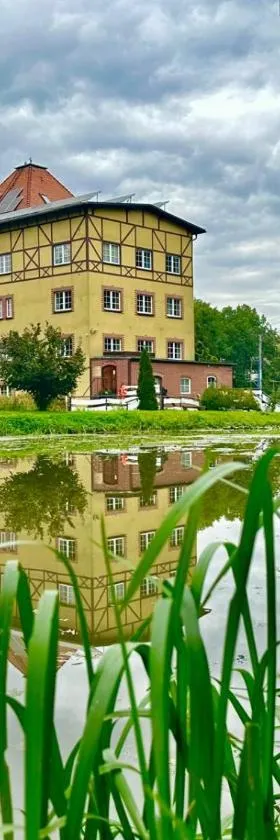 Młyn Witowice，位于Witowice的酒店