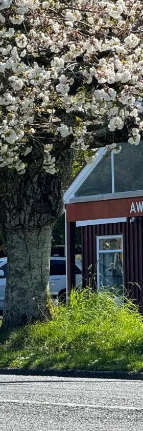 AWA Hotel，位于罗托鲁瓦的酒店