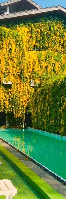 Waasala Eco Luxury Heaven，位于阿努拉德普勒的酒店