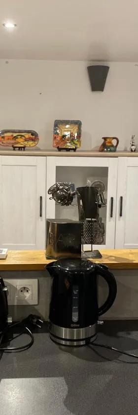 La maison de Tedone，位于泰克河畔阿尔莱的酒店