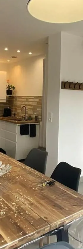 Gîte à louer 70 m2，位于La Chapelle-sur-Loire的酒店