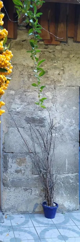 Gite Arthur et Germaine Maisonnette à la campagne avec un grand jardin，位于Saint-Jeoire-Prieuré的酒店