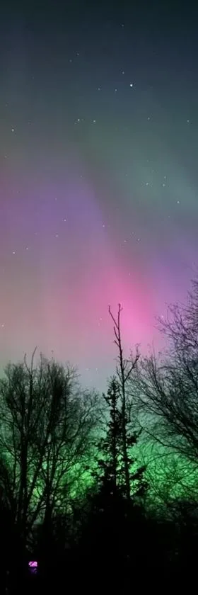 The Northern Lights Oasis，位于瓦西拉的酒店