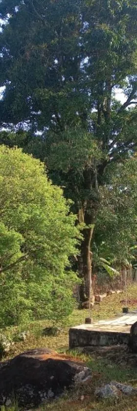 Sítio das Pedras - Natureza e Tranquilidade，位于马蒂亚斯-巴尔博萨的酒店