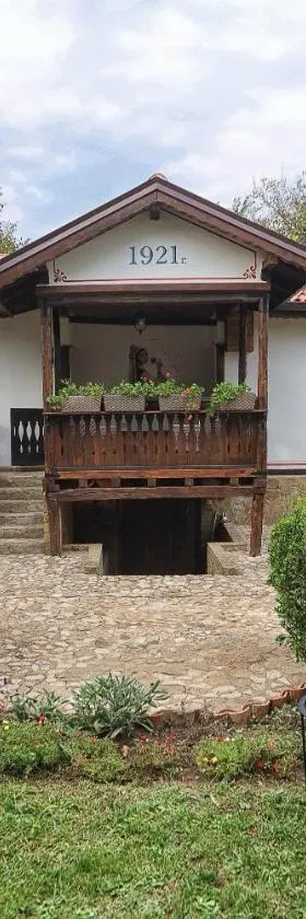 Villa Viara，位于Pchelnik的酒店