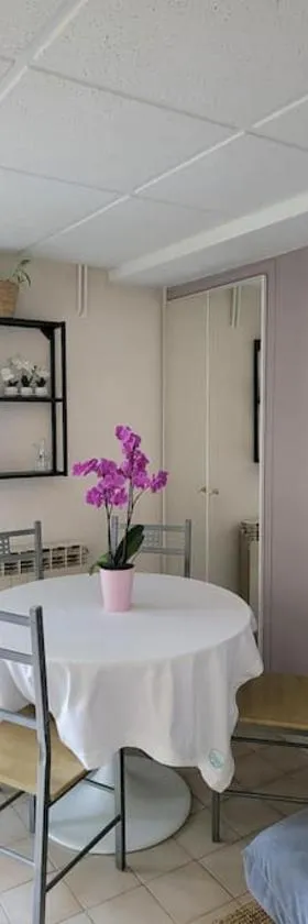 Charmant appartement 35 m2 avec terrasse et jardin，位于Domont的酒店