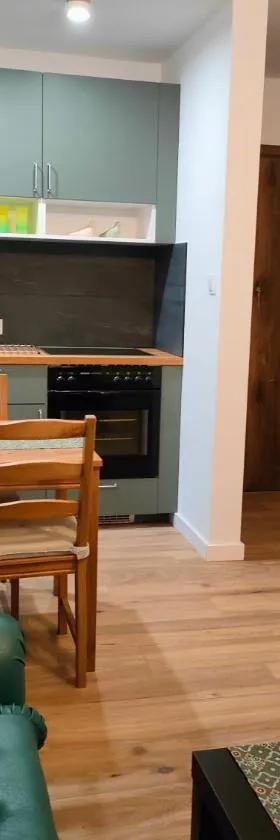 Apartamenty Dom Zielony，位于Popielów的酒店
