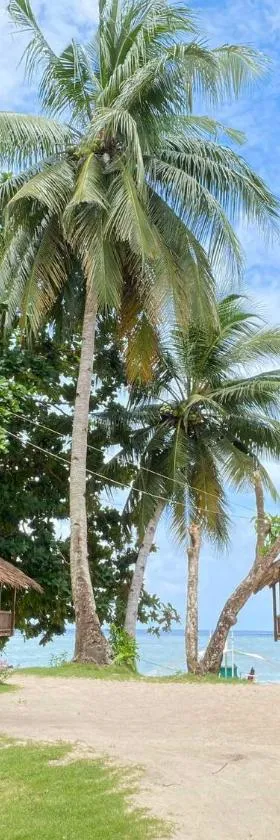 Ocam Ocam open Sea View Cottages，位于New Busuanga的酒店