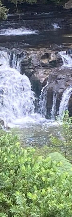Matakana Waterfall Hideaway，位于沃克沃思的酒店