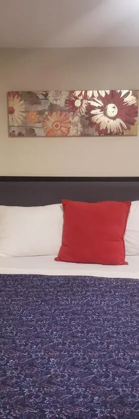The Airport Lodge，位于Collingdale的酒店