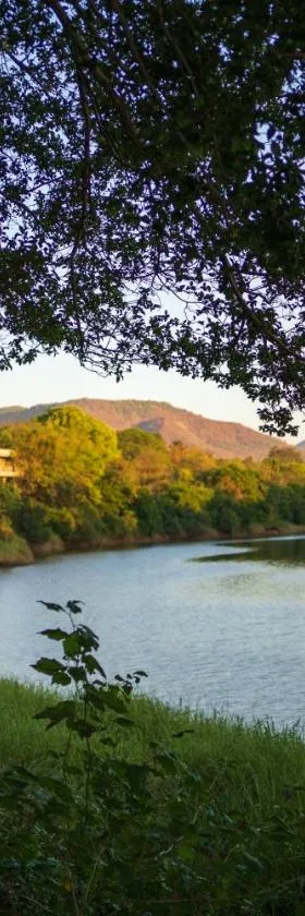 Golden Fields Resort，位于Mulshi的酒店