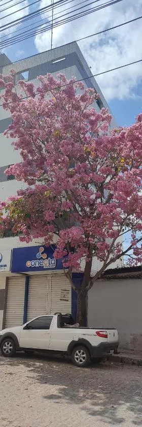 Excelente Apartamento，位于Buíque的酒店