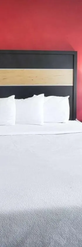 史塔克维尔密歇根州立大学拉昆塔套房酒店，位于斯塔克维尔的酒店