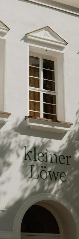 kleiner Löwe – Stadthotel Bregenz，位于布雷根茨的酒店