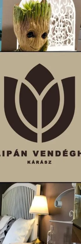 Tulipán Vendégház，位于Kárász的酒店