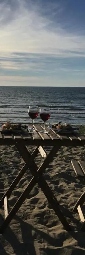 Maison les pieds dans le sable，位于滨海布隆维尔的酒店